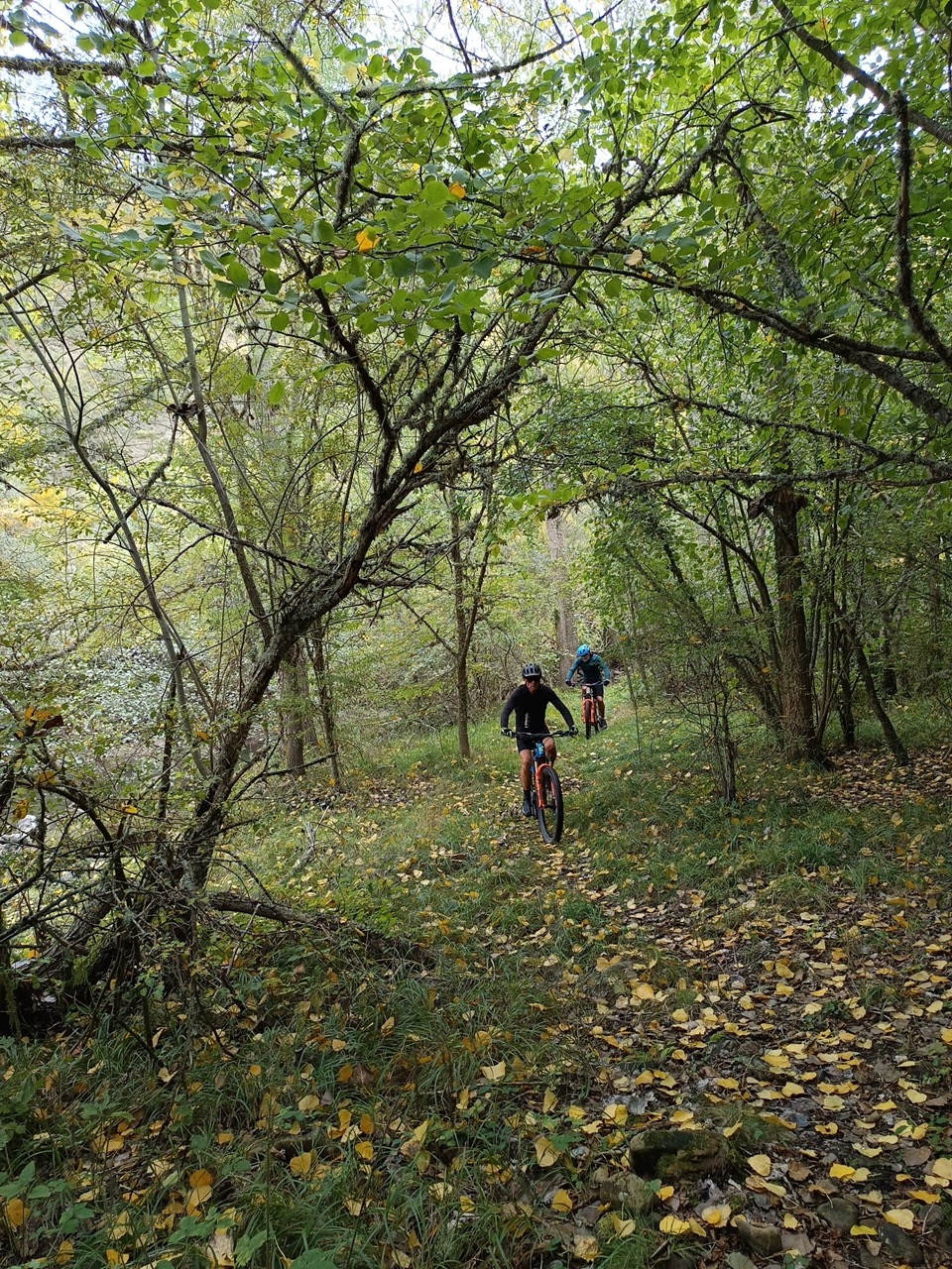 Rutas del Saja
